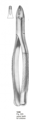  Fig. 30S upper teeth for children 